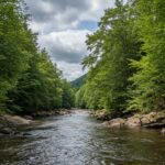 Что такое видимость сайта